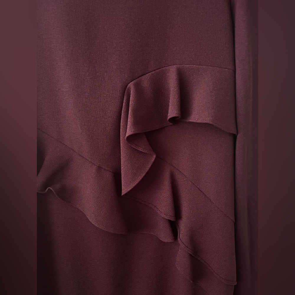 Zara Burgundy Ruffle Dress - Picture 3 of 6